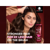 LOREAL ELVIVE FALL RESIST WITH AMINEXIL REINFORCING SHAMPOO 400 ML